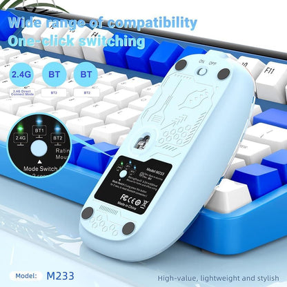 Rechargeable Transparent Mouse